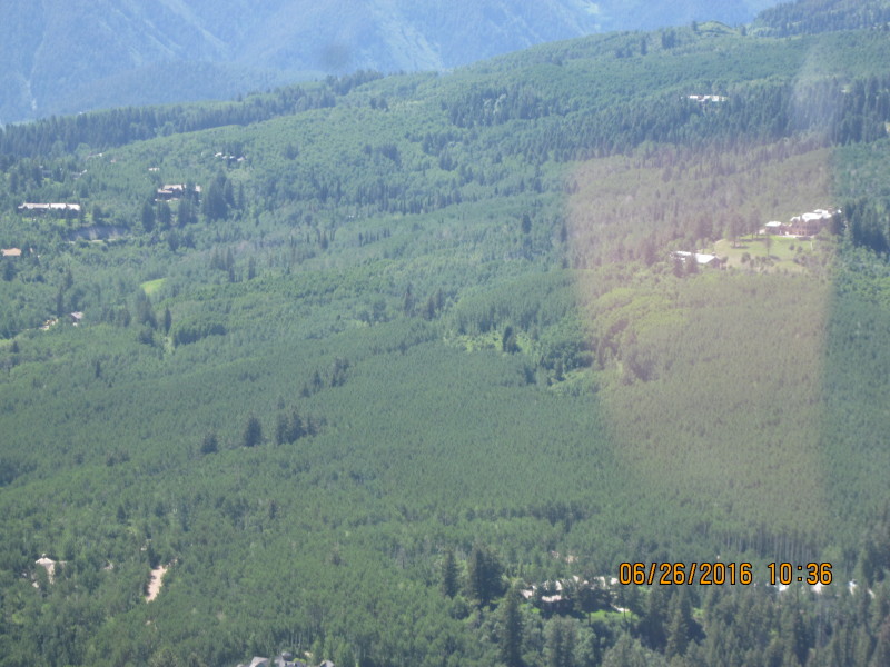 Scaled image 20160626-img-3016.jpg 