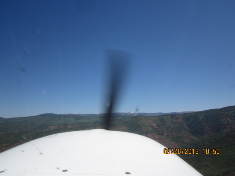 Scaled image 20160626-img-3031.jpg 