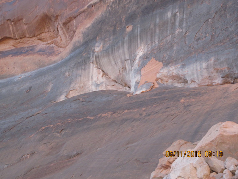 Scaled image 20160811-img-3245.jpg 