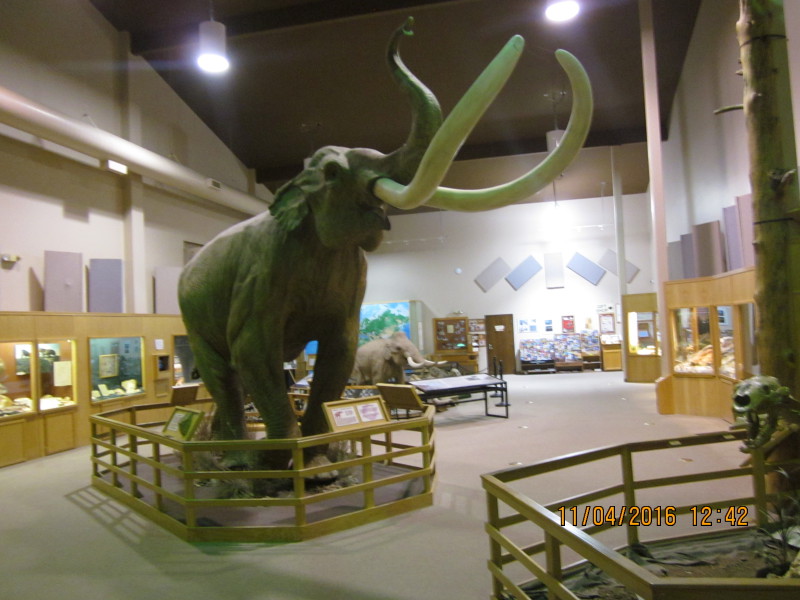 Scaled image img-3401.jpg 