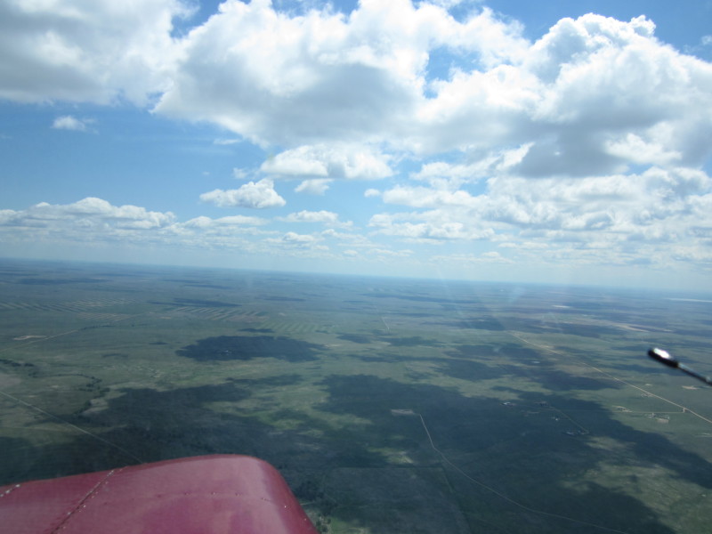 Scaled image 2017325-0529-img-3716.jpg 