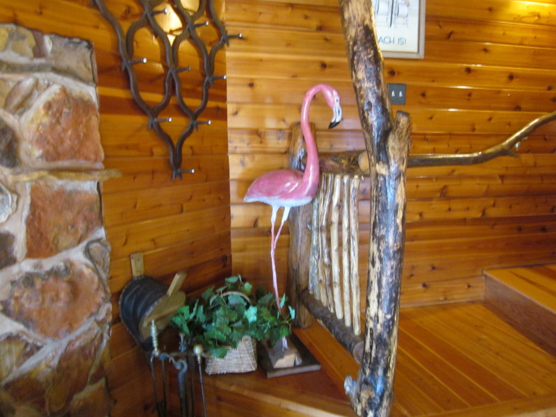 Scaled image 2017326-0601-img-3733.jpg 