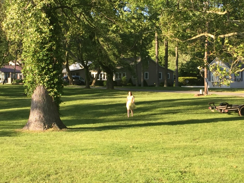 Scaled image img-0882.jpg 