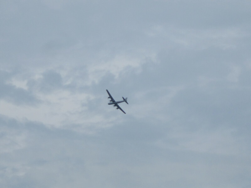 Scaled image 2017355-0725-img-4286.jpg 