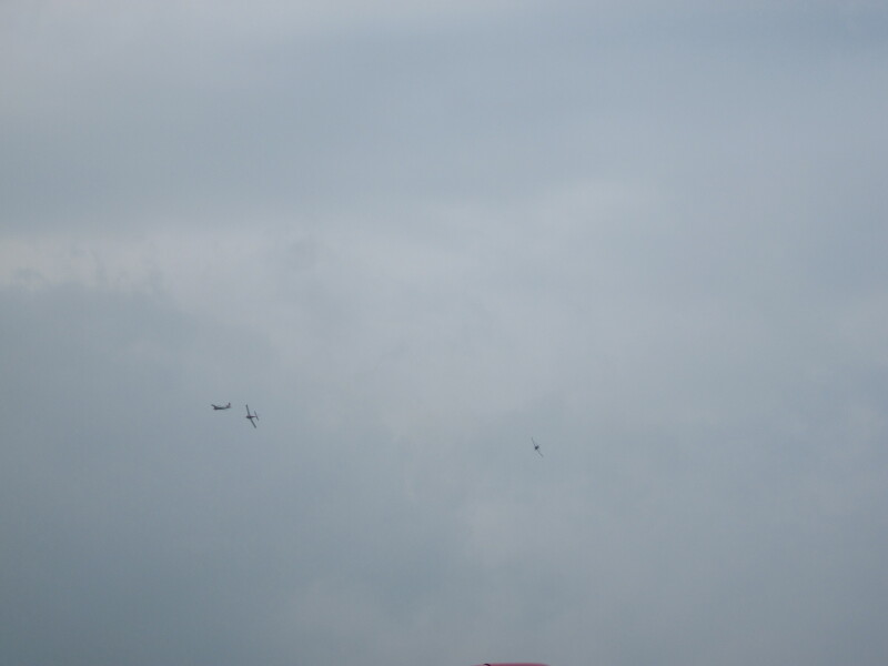 Scaled image 2017356-0726-img-4303.jpg 