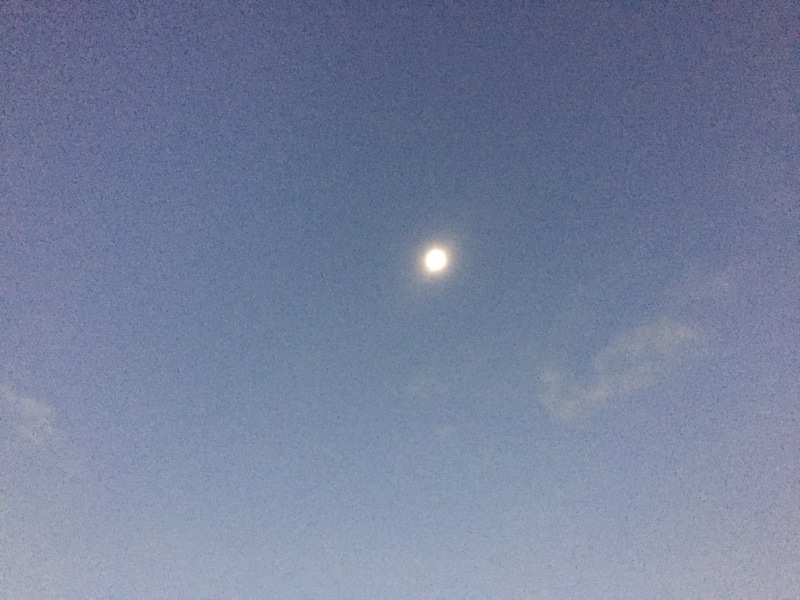 Scaled image 20170821-img-1136.jpg 