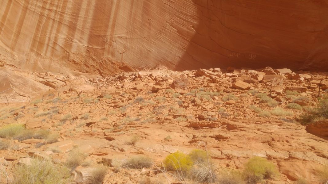 Scaled image 1011171056-burst01-preview.jpeg 