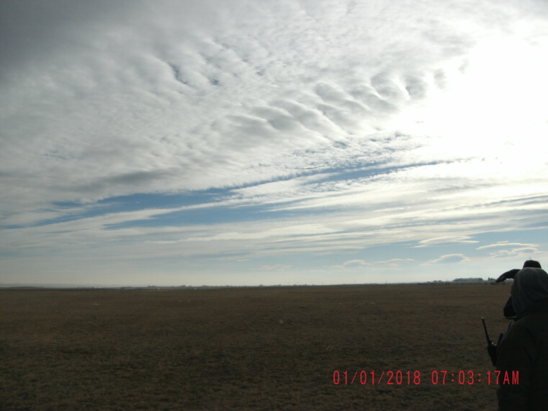 Scaled image GEDC0031.jpg 