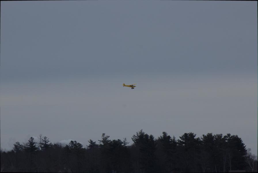 Scaled image img-9945.jpg 