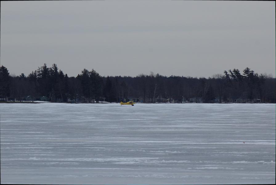 Scaled image img-9949.jpg 