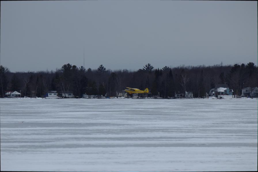 Scaled image img-9969.jpg 