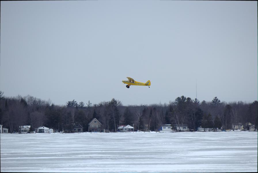 Scaled image img-9977.jpg 