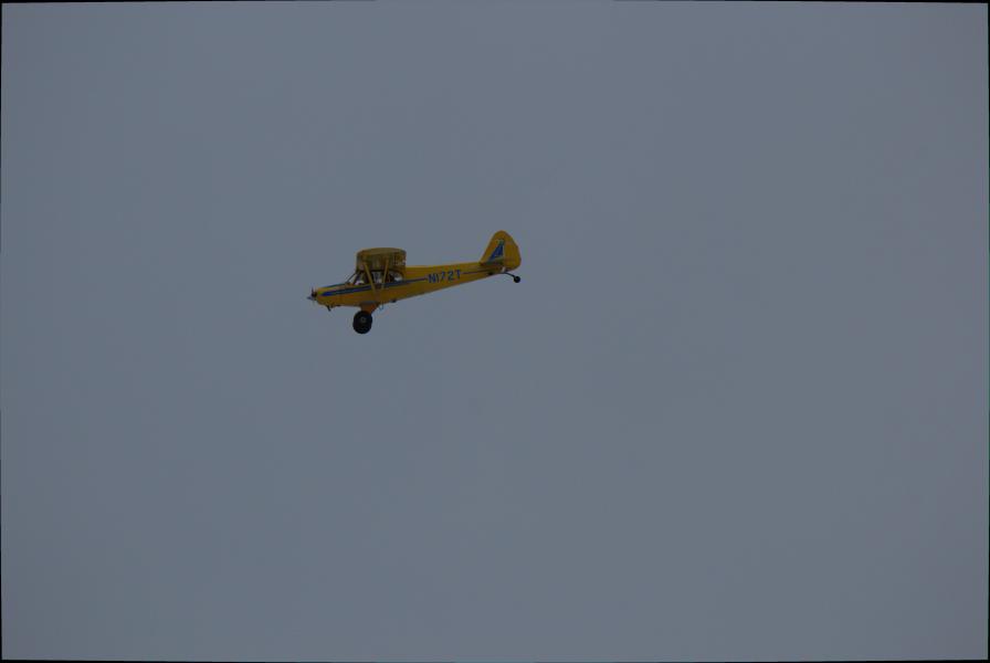 Scaled image img-9978.jpg 