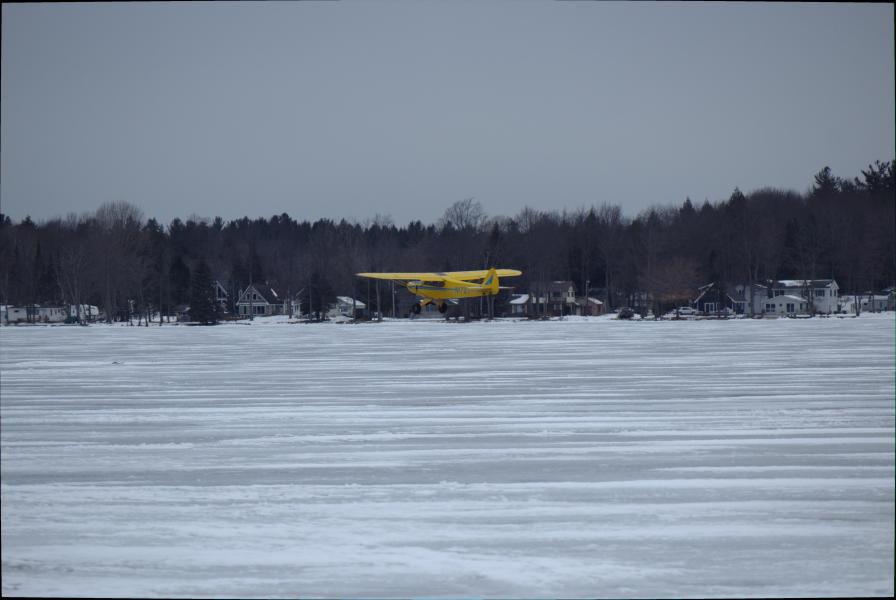 Scaled image img-9981.jpg 