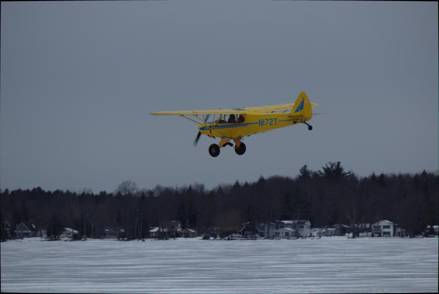 Scaled image img-9982.jpg 