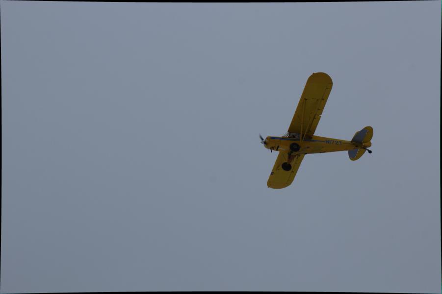 Scaled image img-9985.jpg 