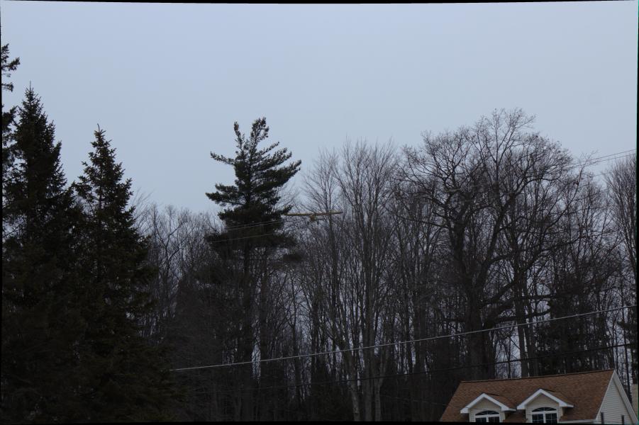 Scaled image img-9988.jpg 