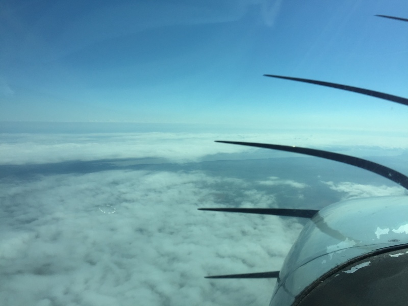 Scaled image img-1455.jpg 