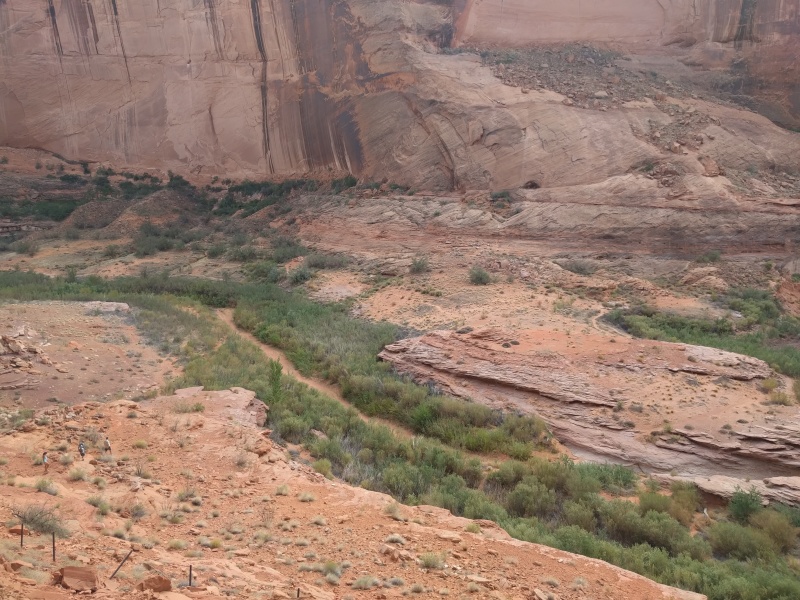 Scaled image img-20181001-145203.jpg 