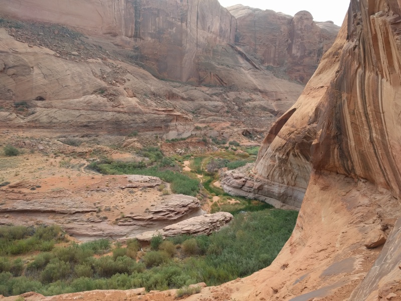 Scaled image img-20181001-145205.jpg 