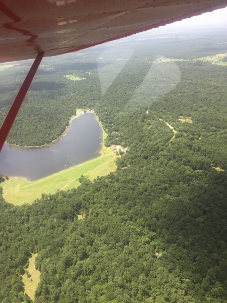 Scaled image img-1902.jpg 