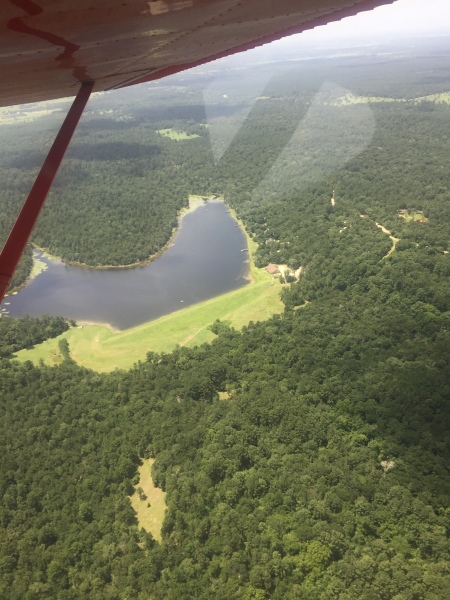 Scaled image img-1903.jpg 