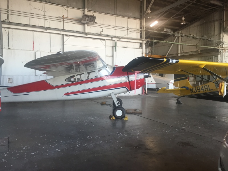 Scaled image img-2236.jpg 