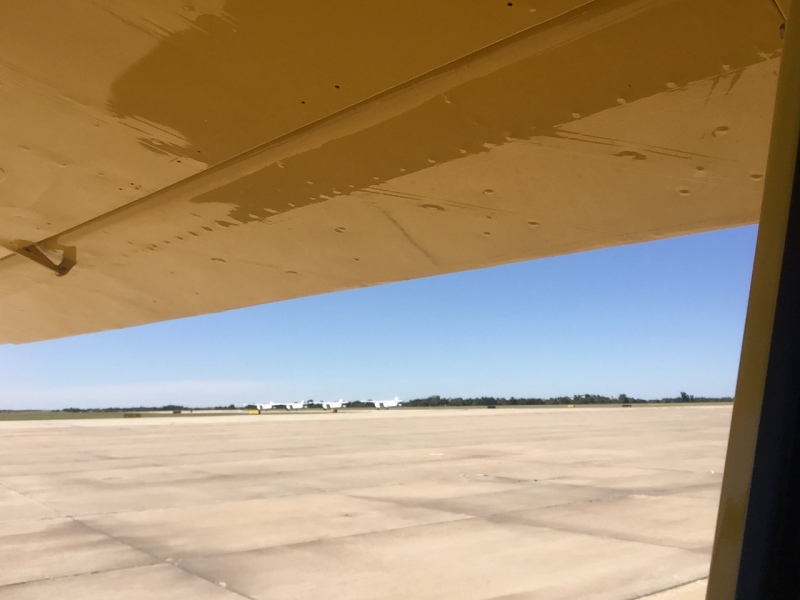 Scaled image img-2241.jpg 