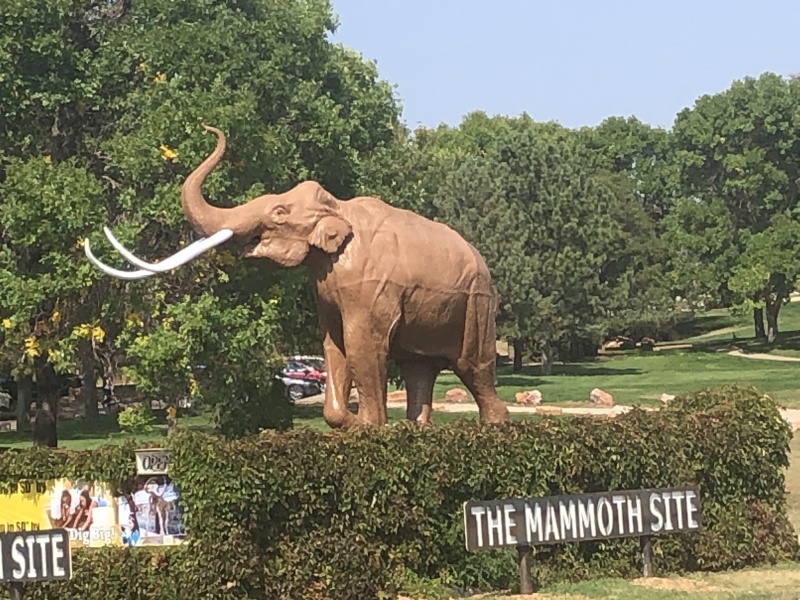 Scaled image img-2601.jpeg 