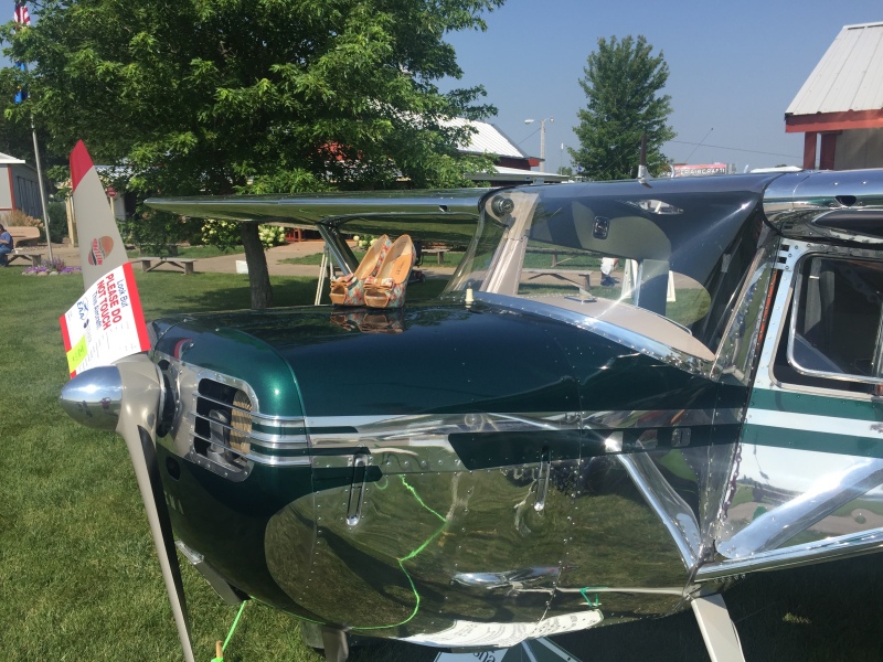 Scaled image img-3282.jpg 