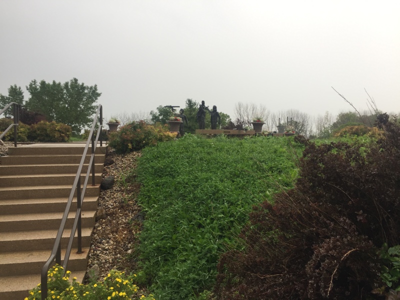 Scaled image img-3295.jpg 