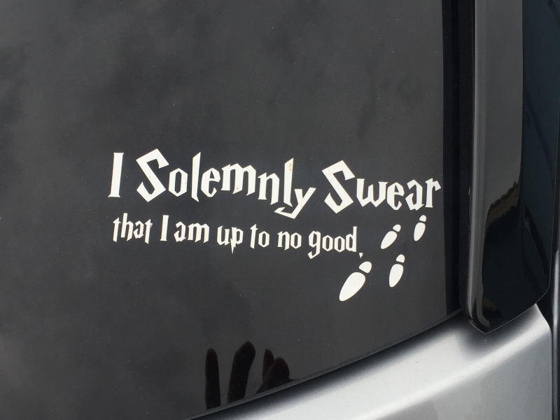 Scaled image img-3448.jpg 