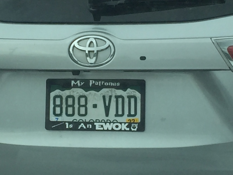 Scaled image img-3449.jpg 