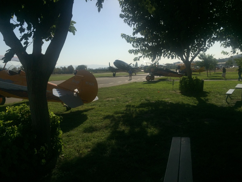 Scaled image img-3495.jpg 