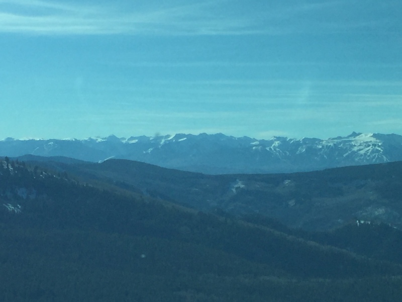 Scaled image img-3572.jpg 