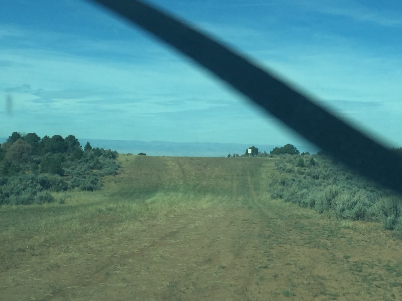 Scaled image img-3582.jpg 