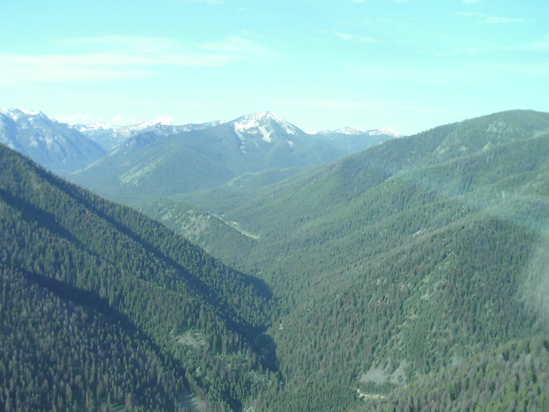 Scaled image N9513G_Jer_Big_Creek1.jpg 