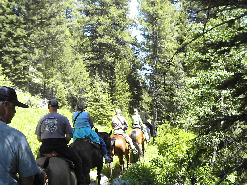 Scaled image N9513G_Jer_Sulphur_Creek_Trail_Ride1.jpg 