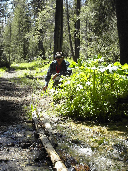 Scaled image N9513G_Jer_Sulphur_Creek_Trail_Ride2.jpg 