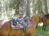 Thumbnail N9513G_Jer_Sulphur_Creek_Trail_Ride3.jpg 
