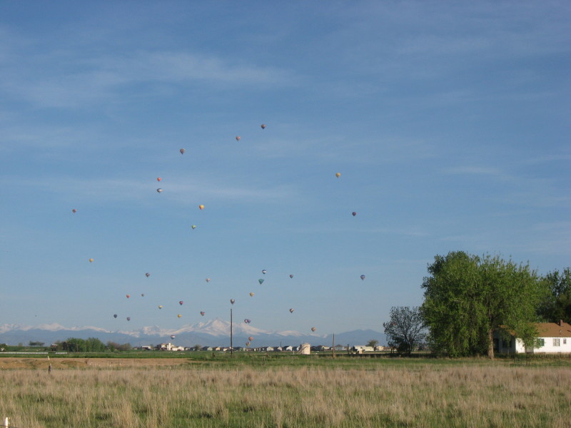 Scaled image img-0316.jpg 