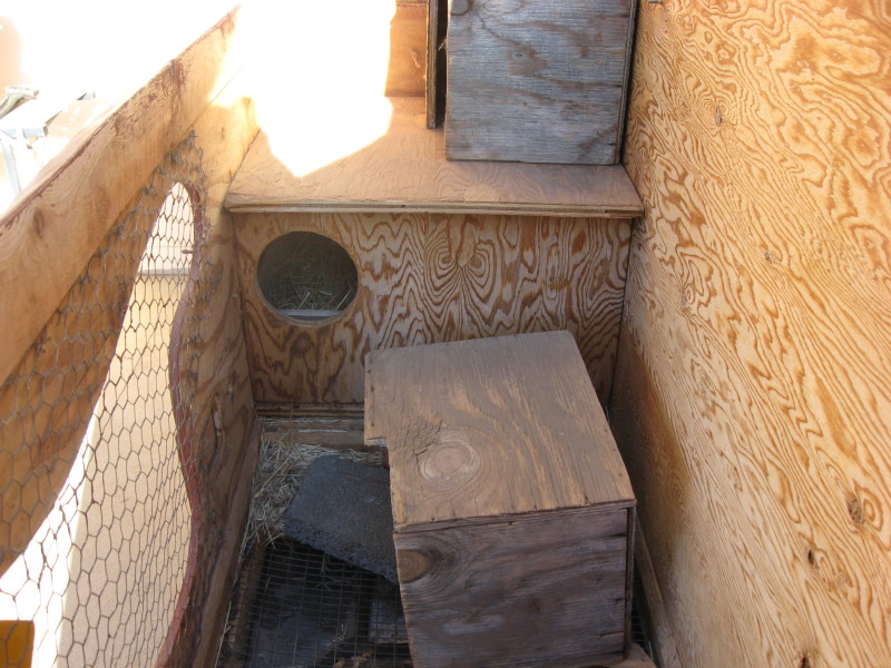img-0322