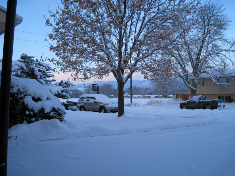 img-0329