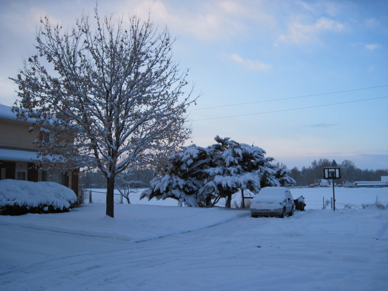 img-0331