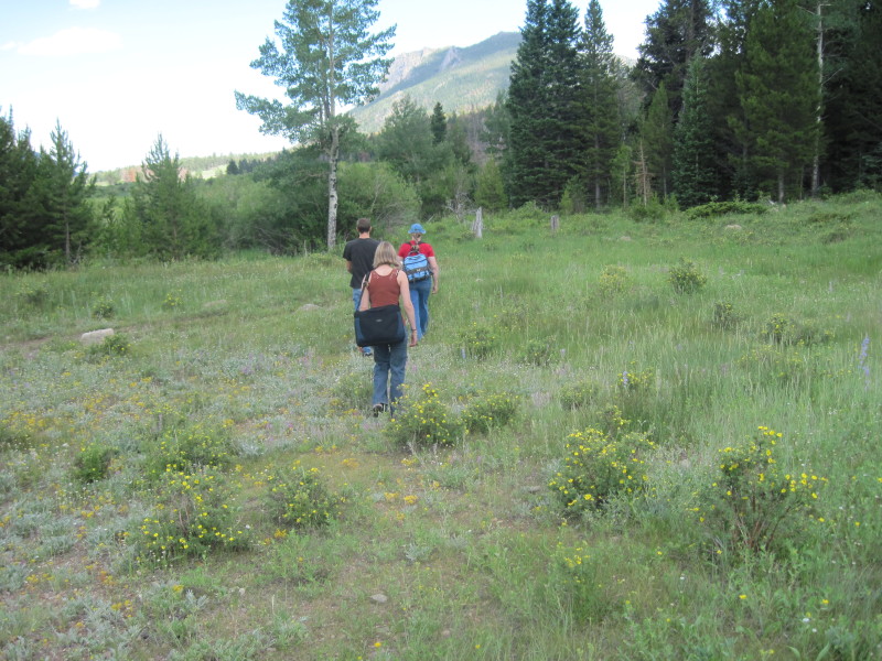 img-0681