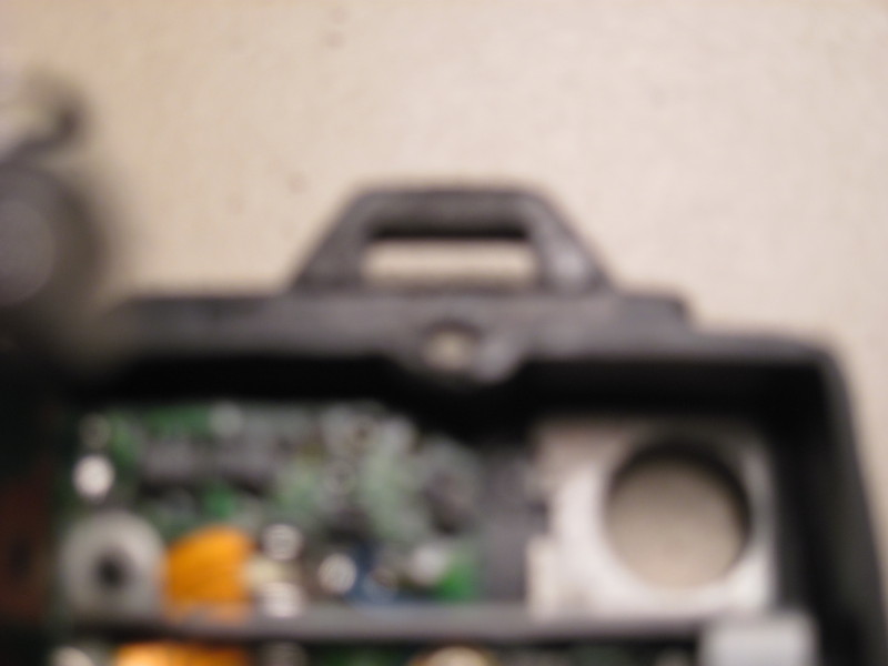 Scaled image img-1849.jpg 