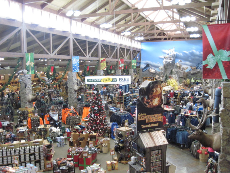Scaled image img-1858.jpg 