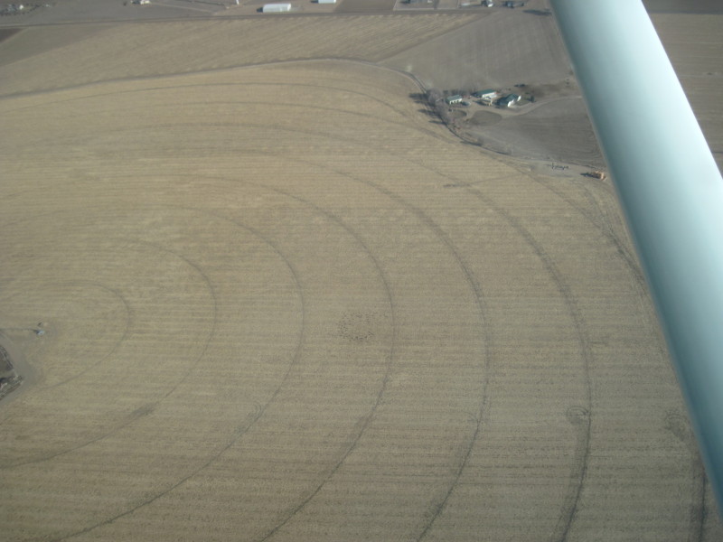 Scaled image img-1861.jpg 
