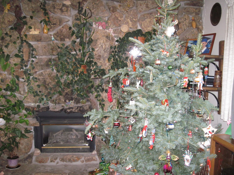Scaled image img-1862.jpg 