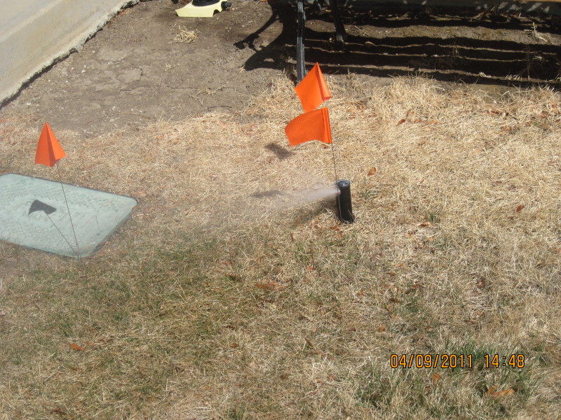 Scaled image img-2091.jpg 